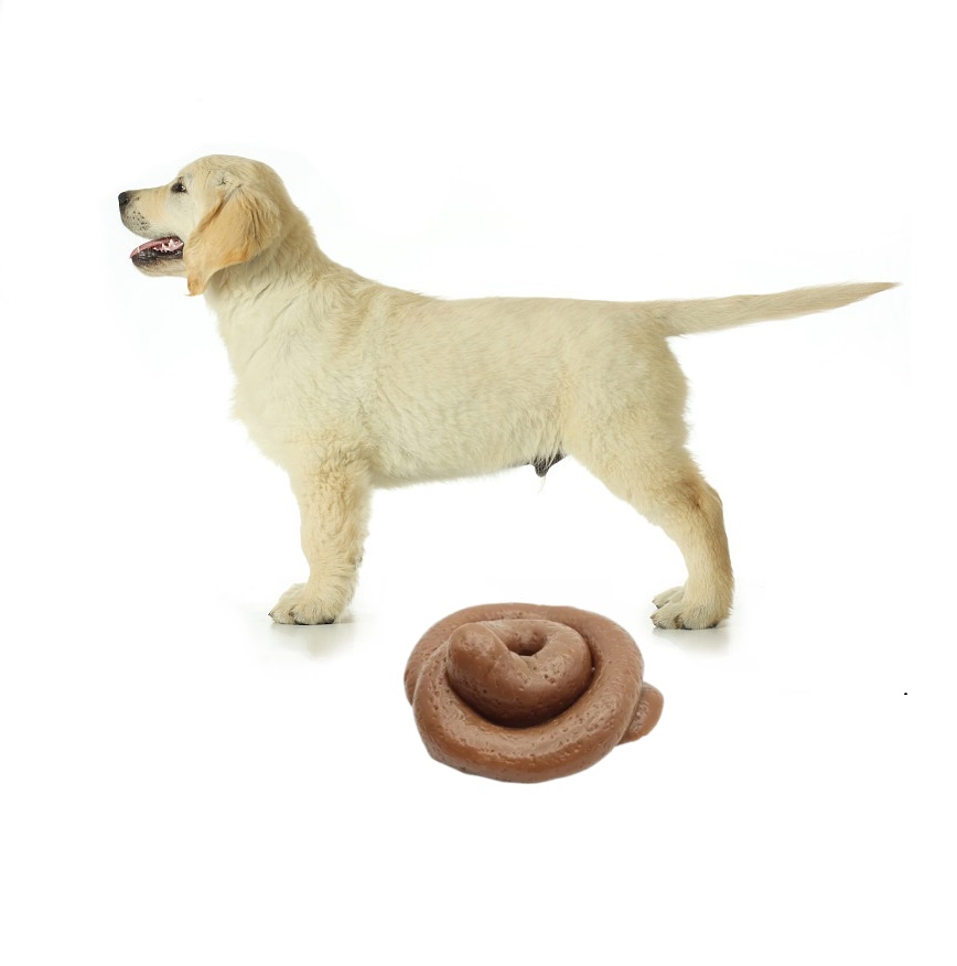 Grappige Prank Poep Squishy Sp - Fake Poop Gag Gift recensie en prijs